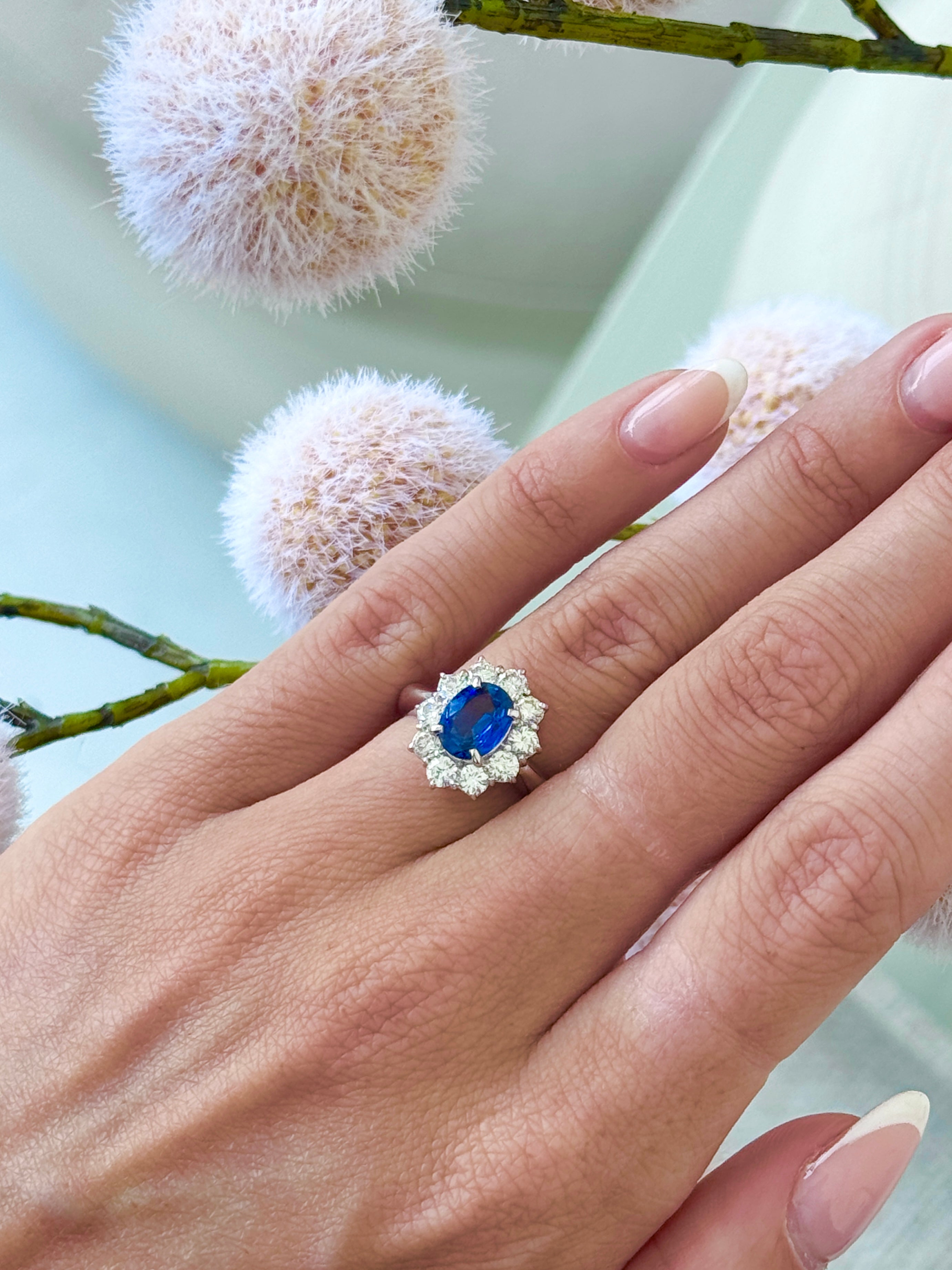 Ceylon Blue Sapphire Halo Ring – GIA Certified, Platinum